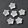 Natural White Chalcedony Beads G-P577-02-1