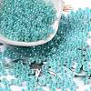 Glass Seed Beads X1-SEED-H002-E-A1419-1
