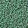 TOHO Round Seed Beads SEED-JPTR08-PF0561-2