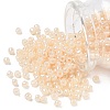 TOHO 6/0 Round Beads SEED-TR06-0147-1