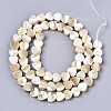 Natural Trochid Shell/Trochus Shell Beads SSHEL-R049-01-2