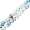 1 Strand Natural Flower Amazonite Beads Strands G-TA0003-26A-3