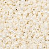 TOHO 6/0 Round Beads SEED-TR06-0122-3