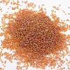 12/0 Round Glass Seed Beads SEED-J011-F12-171-2