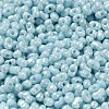 Glass Seed Beads SEED-K009-02A-02-3