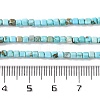 Natural Howlite Beads Strands G-G001-A02-03-5