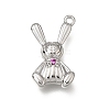 Brass Micro Pave Purple Cubic Zirconia Pendants KK-K427-27P-1
