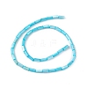 Natural Freshwater Shell Dyed Beads Strands SHEL-M018-11-04-2