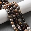 Natural Mexico Crazy Agate Beads Strands G-L615-A01-02-2