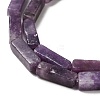 Natural Lepidolite/Purple Mica Stone Beads Strands G-E612-C05-A-4