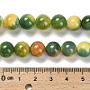 Dyed Natural Agate Beads Strands G-G203-09G-10mm-5