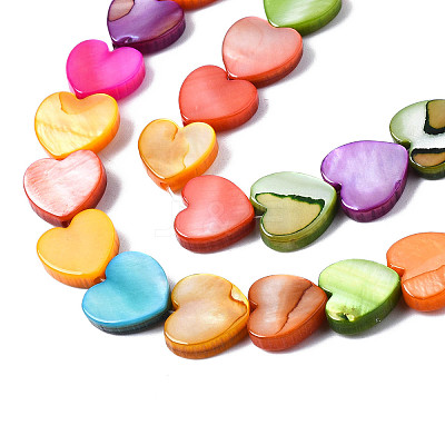 Natural Freshwater Shell Beads Strands X-SHEL-S278-024A-1