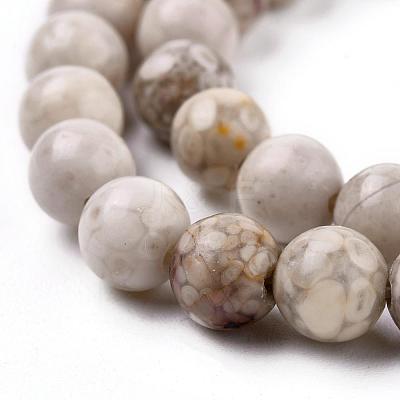 Natural Maifanite/Maifan Stone Beads Strands X-G-F353-10mm-1