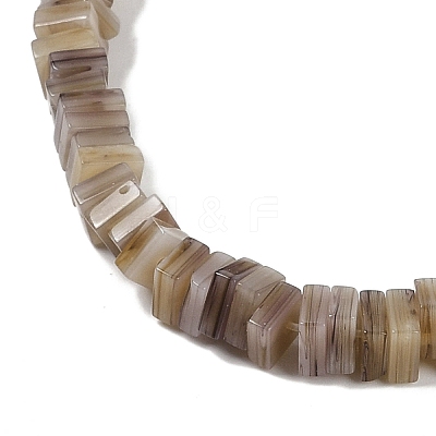 Handmade Lampwork Beads Strands LAMP-Q037-02B-13-1