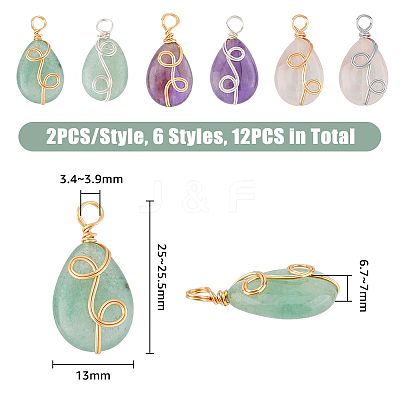12Pcs 6 Styles Natural Mixed Stone Pendants FIND-FH0006-25-1