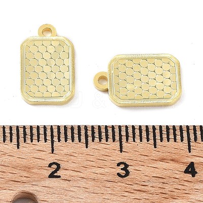 925 Sterling Silver Charms X-STER-C003-02G-1