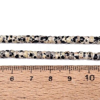 Natural Dalmatian Jasper Beads Strands G-Q606-46A-01-1