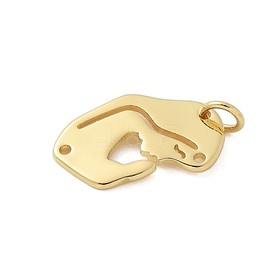 Brass Pendants KK-P293-05G-1