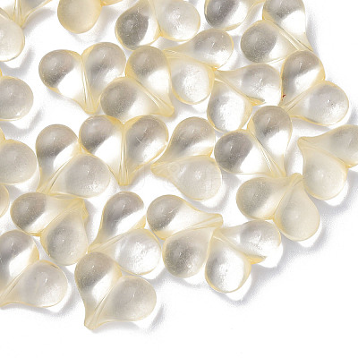 Transparent Acrylic Beads MACR-S373-70-B13-1