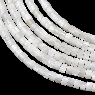 Natural Freshwater Shell Beads Strands X-SHEL-K006-72C-1