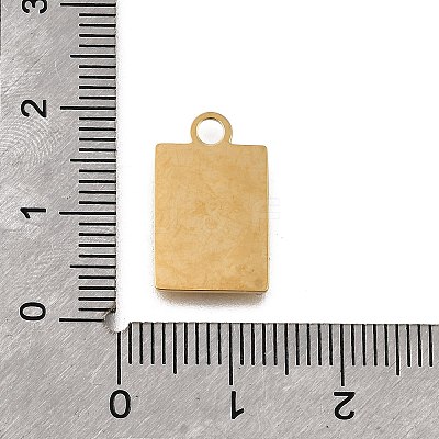 304 Stainless Steel Pendants STAS-F318-09A-G-1