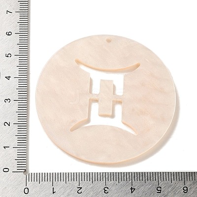 Acrylic Pendants LS-SACR-S680-06B-1