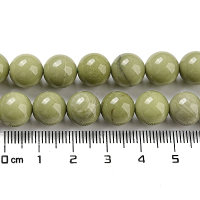 Natural Alashan Agate Beads Strands G-E598-03B-1