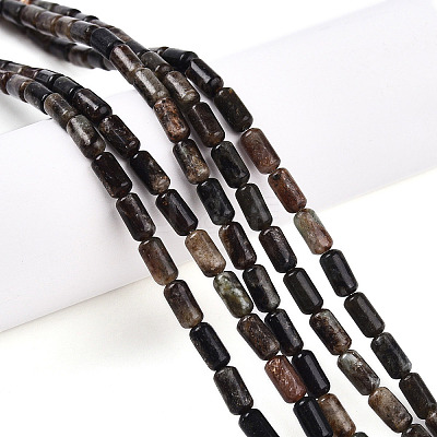 Natural Biotite Beads Strands G-N346-01A-02-1