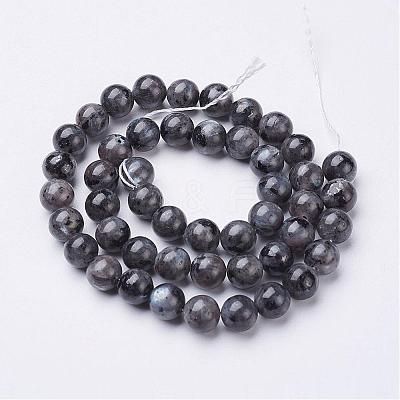 Natural Larvikite Beads Strands GSR8mmC128-1