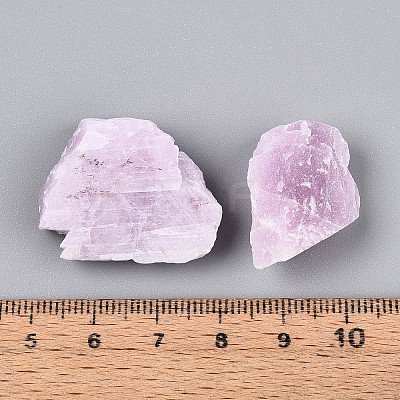 Natural Kunzite Display Decorations G-N347-11A-1