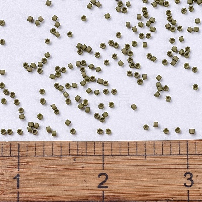 MIYUKI Delica Beads X-SEED-J020-DB0371-1