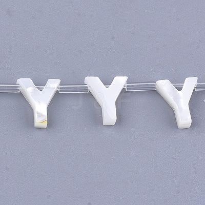 Natural Sea Shell Beads SHEL-T012-60Y-1