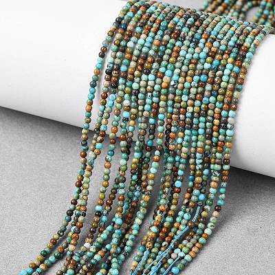 Natural African Turquoise(Jasper) Beads Strands G-K366-G01-2mm-1