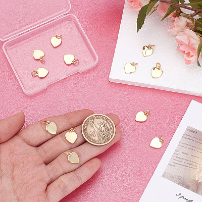 12Pcs Brass Charms KK-GO0002-22-1
