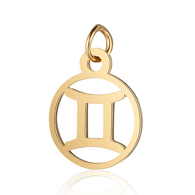 201 Stainless Steel Charms STAS-T036-T513-3-1