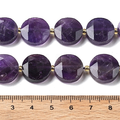 Natural Amethyst Beads Strands G-C116-A167-03-1