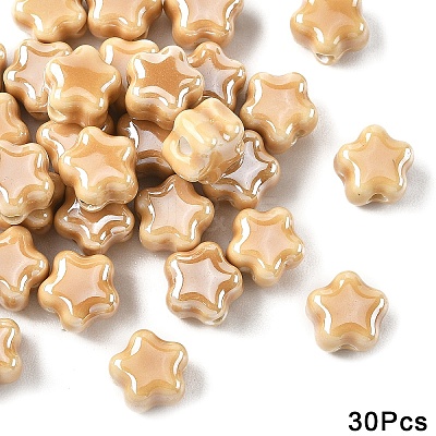 30Pcs Handmade Porcelain Bead PORC-YW0001-75C-1