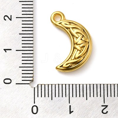 Ion Plating(IP) 304 Stainless Steel Pendants STAS-M070-19G-1