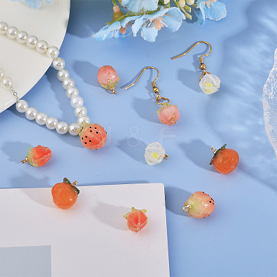 10PCS 5Style Opaque Acrylic Charms SACR-CA0001-20-1