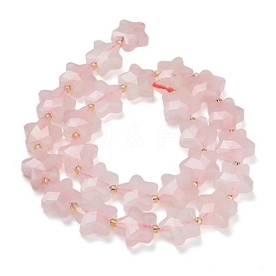 Natural Rose Quartz Beads Strands G-L657-A06-01-1
