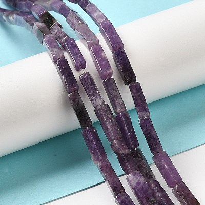 Natural Lepidolite/Purple Mica Stone Beads Strands G-E612-C05-A-1