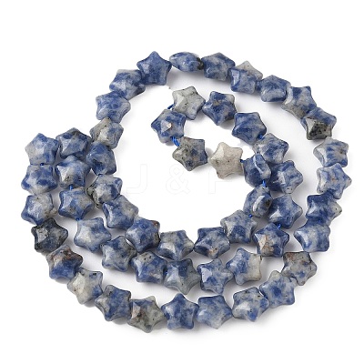 Natural Blue Spot Jasper Star Beads Strands G-Z080-A06-1