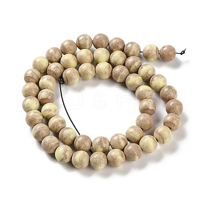 Natural Rainbow Alashan Agate Beads Strands G-NH0022-A-02-1