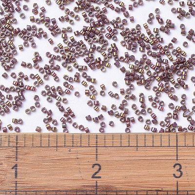 MIYUKI Delica Beads X-SEED-J020-DB1013-1