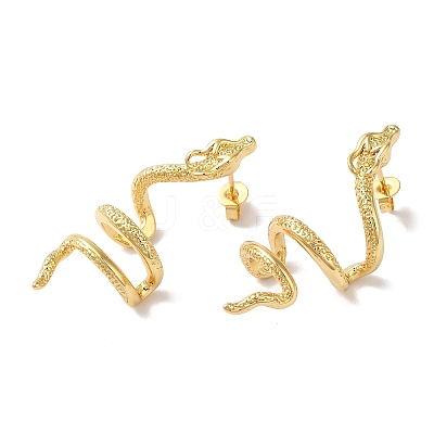 Snake Brass Ear Studs EJEW-P281-02G-1