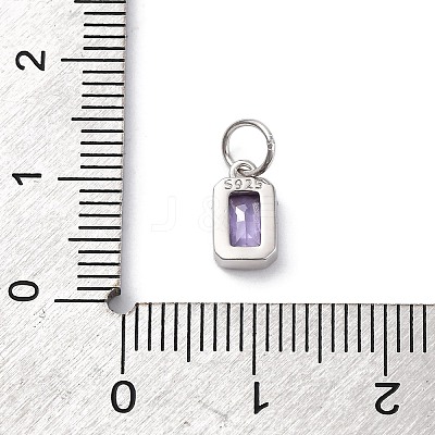 925 Sterling Silver Cubic Zirconia Charms STER-NH0014-01P-02-1