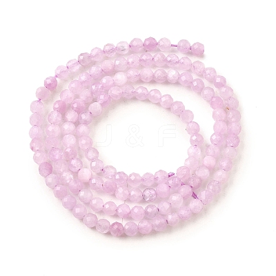 Natural Kunzite Beads Strands G-G259-D11-3mm-1