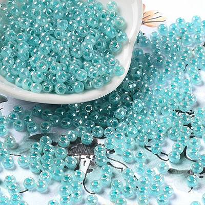Glass Seed Beads X1-SEED-H002-E-A1419-1