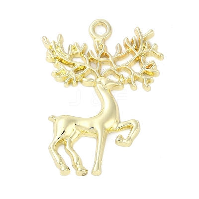 Alloy Pendants FIND-K018-02G-1