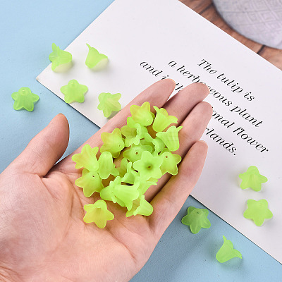 Transparent Acrylic Beads PLF018-05-1